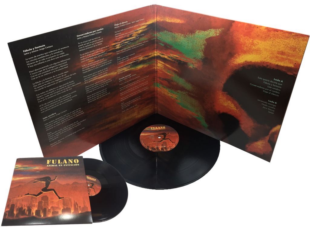 Funda Vinilos 12 pulgadas V12 1 03P01