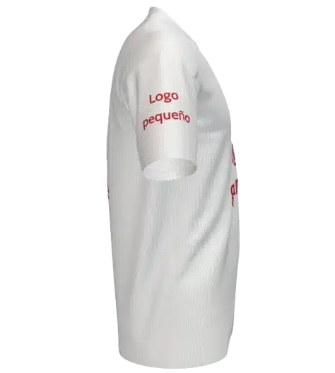 Captura_de_pantalla_2025-01-31_100815-removebg-preview