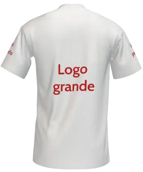 Captura_de_pantalla_2025-01-31_100836-removebg-preview